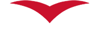 Vic Lam Logo
